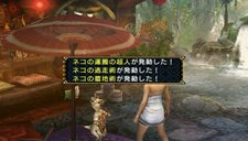 画像ギャラリー No.024のサムネイル画像 / たまにはゆっくり温泉も……ね。「モンスターハンターポータブル 3rd」の拠点「ユクモ村」の中心施設「浴場エリア」の情報が公開