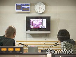 画像ギャラリー No.006のサムネイル画像 / マフィア梶田の二次元が来い!:第2回「ポカポカするゾンビでフルメタルな極道は龍が如く」