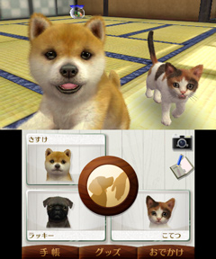 ȥסɥ뤫Ƹǽ˻ҸϤɤˤ롩nintendogs  catsפθȤ3Υѥåܺ٤餫