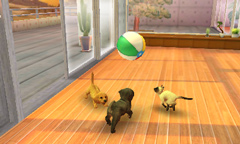 ȥסɥ뤫Ƹǽ˻ҸϤɤˤ롩nintendogs  catsפθȤ3Υѥåܺ٤餫