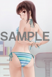 ���������꡼ No.016�Υ���ͥ������ / �֤Ĥ���Τ������Ź����ͽ����ŵ�˻��Ѥ����ȥ��顼���饹�ȡɤ�����