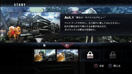 ���������꡼ No.001�Υ���ͥ������ / ��TOKYO JUNGLE�ס����ȡ��꡼�⡼�ɤΥ����꡼�󥷥�åȤ�Ǻܡ��ݥ��˥���˥ܥ��ͥ������˥ۥ󥸥��˥��������䶲ε������������