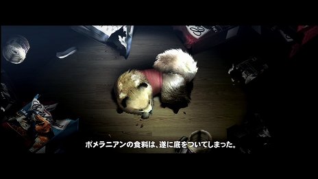 ���������꡼ No.003�Υ���ͥ������ / ��TOKYO JUNGLE�ס����ȡ��꡼�⡼�ɤΥ����꡼�󥷥�åȤ�Ǻܡ��ݥ��˥���˥ܥ��ͥ������˥ۥ󥸥��˥��������䶲ε������������