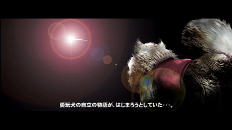 ���������꡼ No.004�Υ���ͥ������ / ��TOKYO JUNGLE�ס����ȡ��꡼�⡼�ɤΥ����꡼�󥷥�åȤ�Ǻܡ��ݥ��˥���˥ܥ��ͥ������˥ۥ󥸥��˥��������䶲ε������������