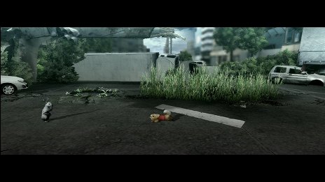 ���������꡼ No.005�Υ���ͥ������ / ��TOKYO JUNGLE�ס����ȡ��꡼�⡼�ɤΥ����꡼�󥷥�åȤ�Ǻܡ��ݥ��˥���˥ܥ��ͥ������˥ۥ󥸥��˥��������䶲ε������������