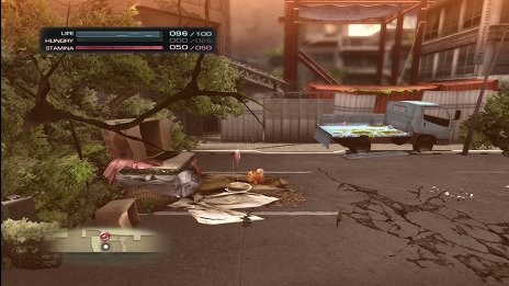 ���������꡼ No.008�Υ���ͥ������ / ��TOKYO JUNGLE�ס����ȡ��꡼�⡼�ɤΥ����꡼�󥷥�åȤ�Ǻܡ��ݥ��˥���˥ܥ��ͥ������˥ۥ󥸥��˥��������䶲ε������������