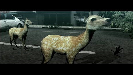 ���������꡼ No.011�Υ���ͥ������ / ��TOKYO JUNGLE�ס����ȡ��꡼�⡼�ɤΥ����꡼�󥷥�åȤ�Ǻܡ��ݥ��˥���˥ܥ��ͥ������˥ۥ󥸥��˥��������䶲ε������������