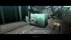 ���������꡼ No.013�Υ���ͥ������ / ��TOKYO JUNGLE�ס����ȡ��꡼�⡼�ɤΥ����꡼�󥷥�åȤ�Ǻܡ��ݥ��˥���˥ܥ��ͥ������˥ۥ󥸥��˥��������䶲ε������������