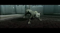 ���������꡼ No.015�Υ���ͥ������ / ��TOKYO JUNGLE�ס����ȡ��꡼�⡼�ɤΥ����꡼�󥷥�åȤ�Ǻܡ��ݥ��˥���˥ܥ��ͥ������˥ۥ󥸥��˥��������䶲ε������������