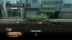 ���������꡼ No.016�Υ���ͥ������ / ��TOKYO JUNGLE�ס����ȡ��꡼�⡼�ɤΥ����꡼�󥷥�åȤ�Ǻܡ��ݥ��˥���˥ܥ��ͥ������˥ۥ󥸥��˥��������䶲ε������������