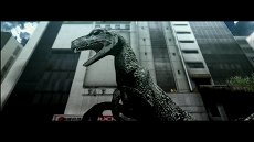 ���������꡼ No.017�Υ���ͥ������ / ��TOKYO JUNGLE�ס����ȡ��꡼�⡼�ɤΥ����꡼�󥷥�åȤ�Ǻܡ��ݥ��˥���˥ܥ��ͥ������˥ۥ󥸥��˥��������䶲ε������������