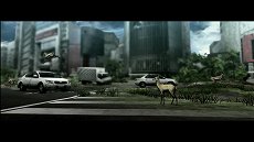 ���������꡼ No.020�Υ���ͥ������ / ��TOKYO JUNGLE�ס����ȡ��꡼�⡼�ɤΥ����꡼�󥷥�åȤ�Ǻܡ��ݥ��˥���˥ܥ��ͥ������˥ۥ󥸥��˥��������䶲ε������������