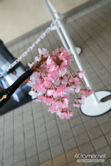 ���������꡼ No.206�Υ���ͥ������ / PSO2�κ�ŵ�֥ե��󥿥������������պ� 2017�ץե��ȥ�ݡ��ȡ�����̤ä������ץ쥤�䡼�γ�������̤Υ���եȺ��ʤ���Ǻ�