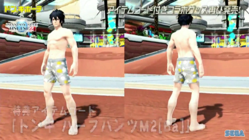 ���������꡼ No.048�Υ���ͥ������ / �����ե�����줫�������������PSO2 STATION���ץ�ݡ��ȡ��̾說�饹�˿����ʥ����뤬�ɲá������ƥڥ륽�ʥ��꡼���ȤΥ���ܤ�ȯɽ