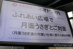 ���������꡼ No.013�Υ���ͥ������ / ����P�ȥߥΡ�����������Ĥ�����NEW��֥ץ饹�פ�ȯ�䵭ǰ���٥�ȥ�ݡ��ȡ����̸��礵�줿�ǡ��ȥץ�������Υ��쥷ã��æ˹���륯����ƥ���