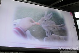 ���������꡼ No.014�Υ���ͥ������ / ����P�ȥߥΡ�����������Ĥ�����NEW��֥ץ饹�פ�ȯ�䵭ǰ���٥�ȥ�ݡ��ȡ����̸��礵�줿�ǡ��ȥץ�������Υ��쥷ã��æ˹���륯����ƥ���