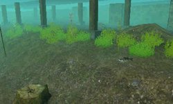 ���������꡼ No.007�Υ���ͥ������ / ������������ǥ�����������ꥢ��Х��ե��å��󥰥������FISH ON�פ�6��9����ȯ�䡣�����Τ�Ӥ�į��������վޥ⡼�ɤ����