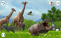 3Dǥꥢ˺Ƹ줿ưʪڤREAL ANIMALS HDȯ