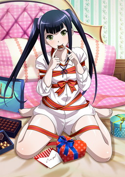 ���������꡼ No.011�Υ���ͥ������ / �֥֥饦���쵳���� �����������פ˥Х�󥿥���Ʈ�Τθ�Ⱦ���о�