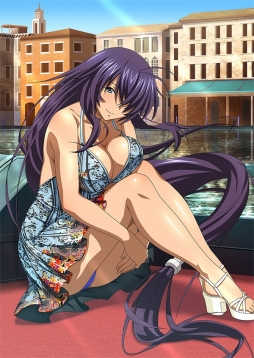 画像ギャラリー No.003のサムネイル画像 / 「ブラウザ一騎当千」トーシダスに「旅行闘士」(前半)のカードが登場