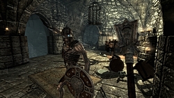 #007Υͥ/GamescomϡThe Elder Scrolls V: SkyrimפΥץ쥹ե󥹤šͳ٤ι⤤饯ᥤ󥰤ȡ椬о