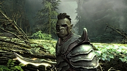 GamescomϡThe Elder Scrolls V: SkyrimפΥץ쥹ե󥹤šͳ٤ι⤤饯ᥤ󥰤ȡ椬о