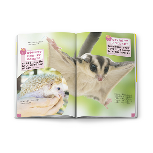 画像ギャラリー No.022のサムネイル画像 / 「マインクラフト ザ・ムービー」「ちいかわ」のハッピーセットが5月16日からマクドナルドに登場。フィギュア型おもちゃなどを展開