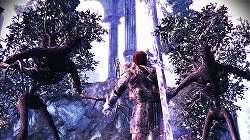 ѤˤʤäݡȤο襤ĩᡣʤ륭ڤĥѥåDragon Age: Origins - Awakeningץץå