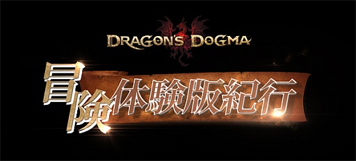 #005Υͥ/Dragon's DogmaסݿͥݡˤθWebư4Ƥ