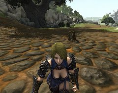 ȥʸMMORPG֥֥󥽥륺פƥȥץ쥤ʰʤȥʴΥॷƥ