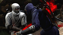 NINJA GAIDEN 3פδطԸͷݡȡԡۡ꡼Υޥץ쥤ϡȥޥץ쥤餷̡¿̤ʥ¸