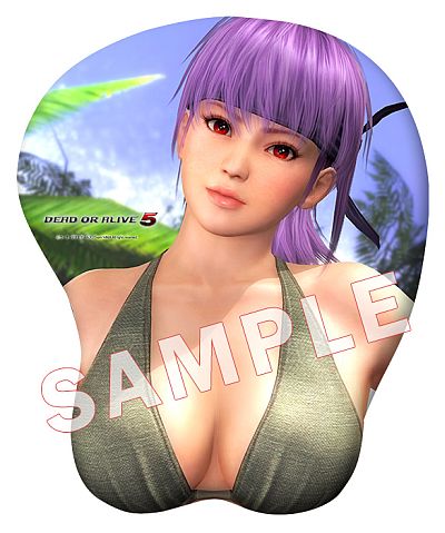 DEAD OR ALIVE 5ס3DޥѥåɤͽճϡWebŵդ