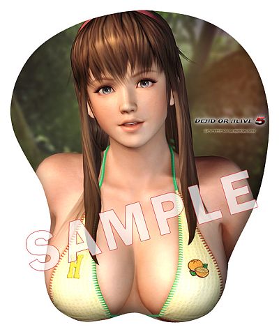 DEAD OR ALIVE 5ס3DޥѥåɤͽճϡWebŵդ