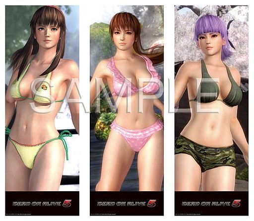 DEAD OR ALIVE 5ס3DޥѥåɤͽճϡWebŵդ