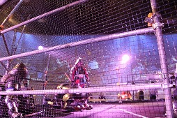 ���������꡼ No.006�Υ���ͥ������ / �ֱ�ͺ�����˥���פȥ����ޡ��ɥХȥ�Υ���ܥ������ӥ����ޥå������š���󥰾�Ƿ��깭����줿��������Ǿ�����Ĥ�����ΤϤɤοرġ�