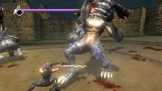 NINJA GAIDEN  PLUSסȯ䡣鿴ԤԤޤǳڤ뿷ǡǦӤƻפξܺ٤