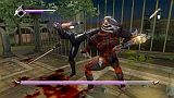 NINJA GAIDEN  PLUS