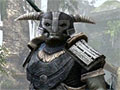 The Elder Scrolls Online׽θࡼӡޤ1ĤΥСǻüץ쥤Ƥ褦ʵʬˤʤ뿷Ѥ餫