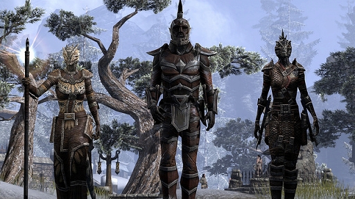 The Elder Scrolls OnlinePlayStation 4ǤǤΥץ쥤˥ץߥॢȤɬפʤ