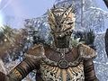 The Elder Scrolls OnlinePlayStation 4ǤǤΥץ쥤˥ץߥॢȤɬפʤ