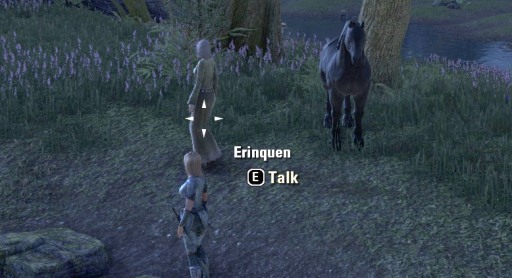 #015Υͥ/The Elder Scrolls Onlineצ¥ƥȥݡȡץ쥤οʤ߶Ѥ륳ƥĤ̥