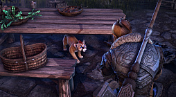 画像ギャラリー No.003のサムネイル画像 / 「エルダー・スクロールズ・オンライン」虫の教団の季節 パート1,2025年6月18日(北米時間)に配信決定。新規映像も公開