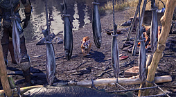 画像ギャラリー No.008のサムネイル画像 / 「エルダー・スクロールズ・オンライン」虫の教団の季節 パート1,2025年6月18日(北米時間)に配信決定。新規映像も公開