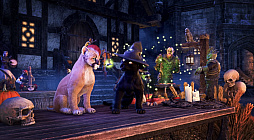 画像ギャラリー No.013のサムネイル画像 / 「エルダー・スクロールズ・オンライン」虫の教団の季節 パート1,2025年6月18日(北米時間)に配信決定。新規映像も公開