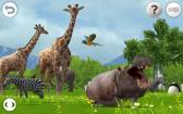 REAL ANIMALS HDפMac App Storeо졣ꥢưʪã˿褦