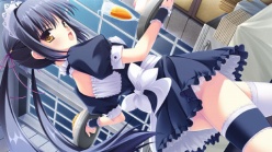 ���������꡼ No.003�Υ���ͥ������ / ���Ǥ���벵�������̤�����ɬ��!? ����ADV�֥��奬���ꥣ �����å��� -Limited-�פ�2012ǯ�ߤ�ȯ��