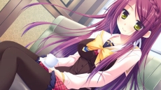 ���������꡼ No.029�Υ���ͥ������ / ���Ǥ���벵�������̤�����ɬ��!? ����ADV�֥��奬���ꥣ �����å��� -Limited-�פ�2012ǯ�ߤ�ȯ��