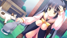 ���������꡼ No.037�Υ���ͥ������ / ���Ǥ���벵�������̤�����ɬ��!? ����ADV�֥��奬���ꥣ �����å��� -Limited-�פ�2012ǯ�ߤ�ȯ��