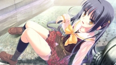 ���������꡼ No.038�Υ���ͥ������ / ���Ǥ���벵�������̤�����ɬ��!? ����ADV�֥��奬���ꥣ �����å��� -Limited-�פ�2012ǯ�ߤ�ȯ��