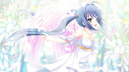 ���������꡼ No.017�Υ���ͥ������ / �֥��奬���ꥣ �����å��� -Limited-�ס���������饯����ã�Υ����꡼�󥷥�å���10�礬������